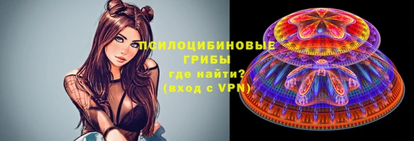 МДПВ Горняк