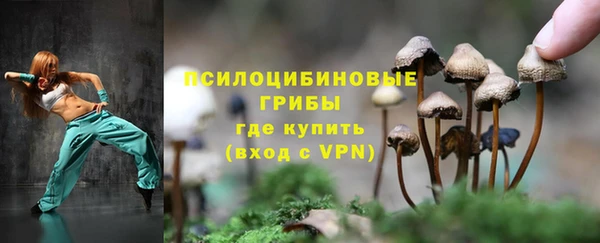 спиды Вяземский