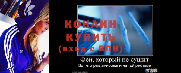 спиды Вяземский