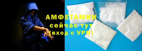 спиды Вяземский