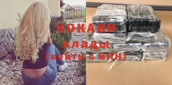 спиды Вяземский