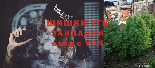 спиды Вяземский