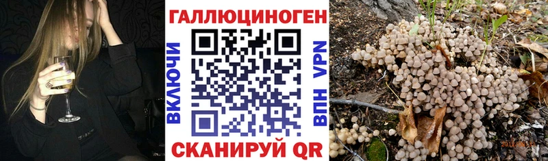 Псилоцибиновые грибы Cubensis  Купить где  Вязники 