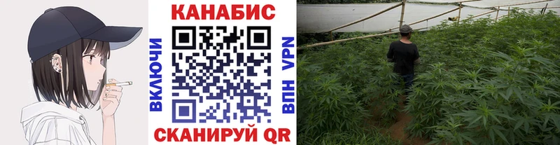 Купить где  Вязники  Шишки марихуана гибрид 